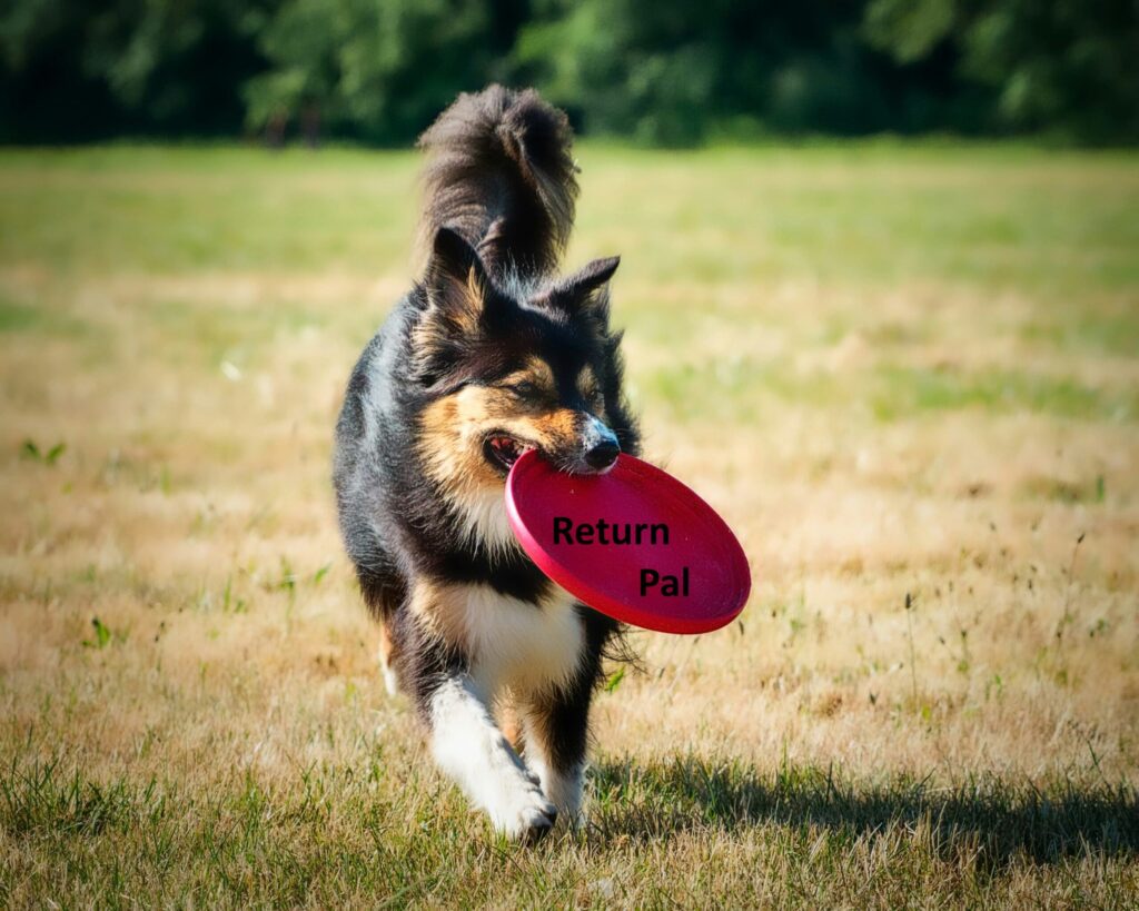 A dog with a Return Pal Frisbee in its mouth.